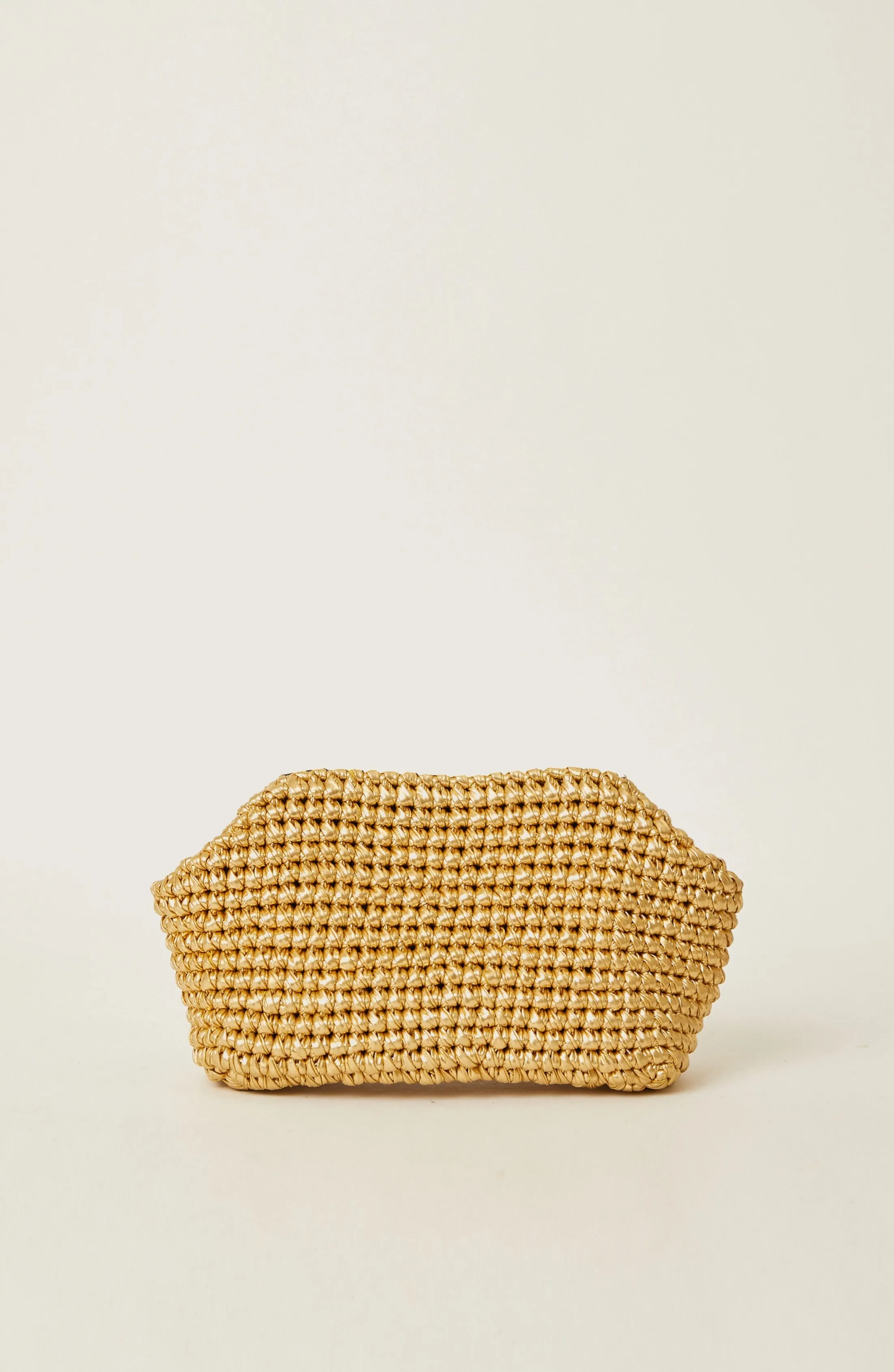 NOVA CLUTCH (Final Sale)
